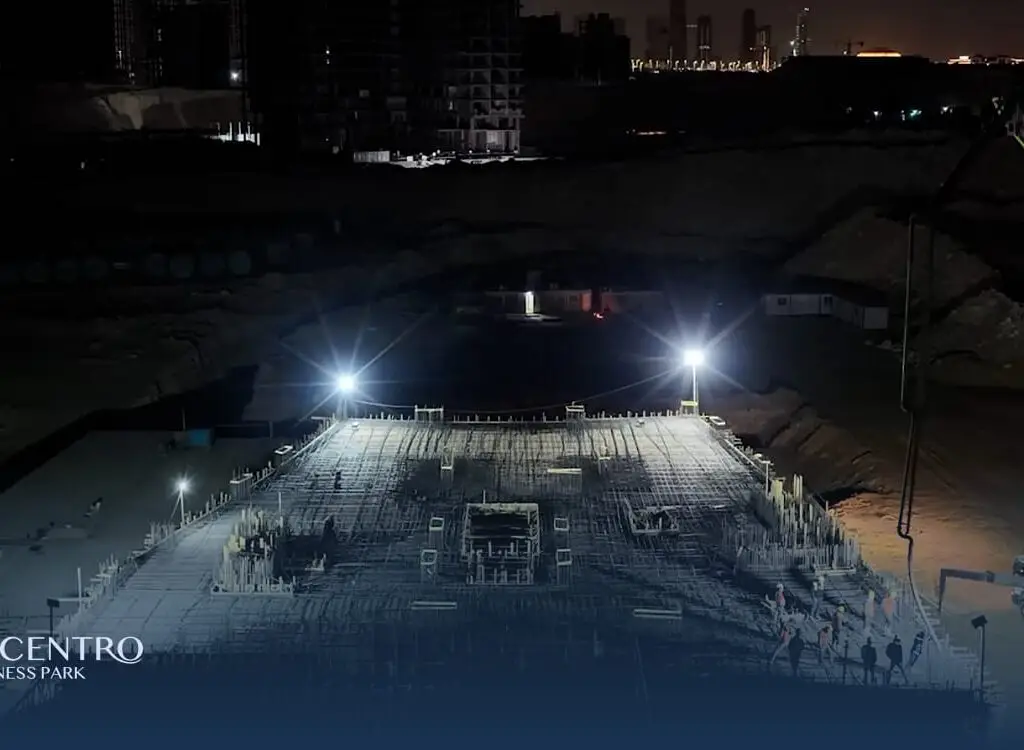 Professional Economy